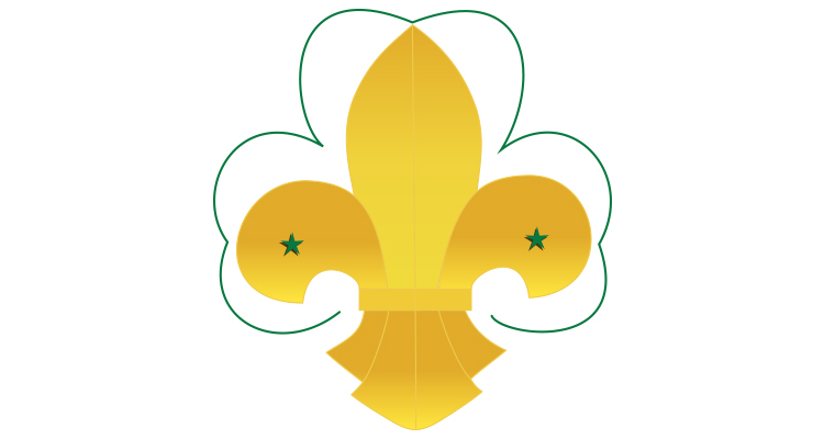 Exchange among scouts - Insignia scout