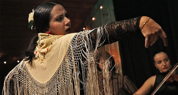 Intercambio de bailes tradicionales - Flamenco