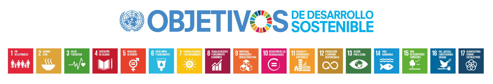 Discover Dothegap S Values And Our Commitment To The Sdgs Dothegap Sube Tu Experiencia Descubre Otras Afines Conecta