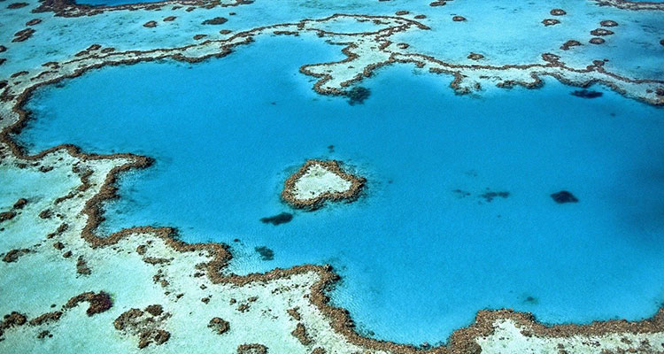 Día Mundial de los Océanos: protégelos viajando de forma sostenible - Corales