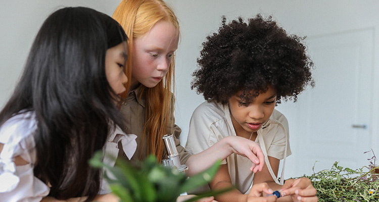 7 experiencias de educación no formal e informal para este verano - Portada