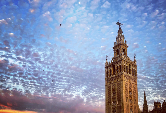 Linguistic and cultural exchange with students aged 15 to 17 in Seville, Spain 10 €