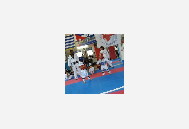 Taekwondo in the Ancient City that organiza the first Ancient Olympic Games. 10 €